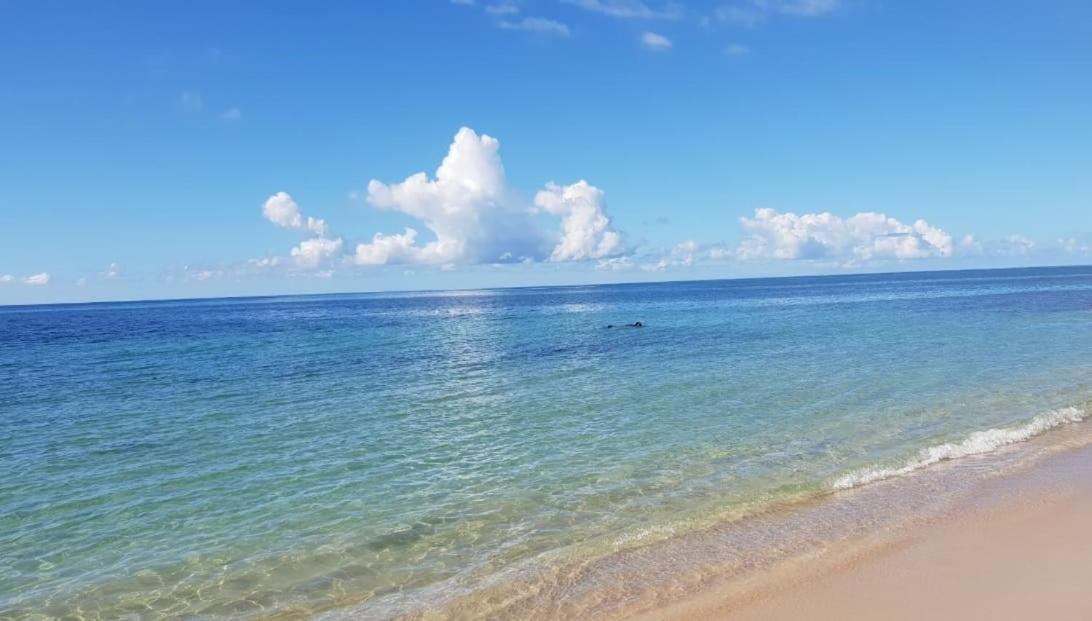 Appartement Paradisiaque Entre Hammamet Et Nabil Dış mekan fotoğraf